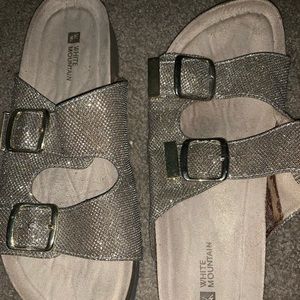 White Mountain Slides